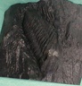 fossile132