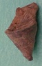 fossile137