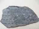 bois fossile