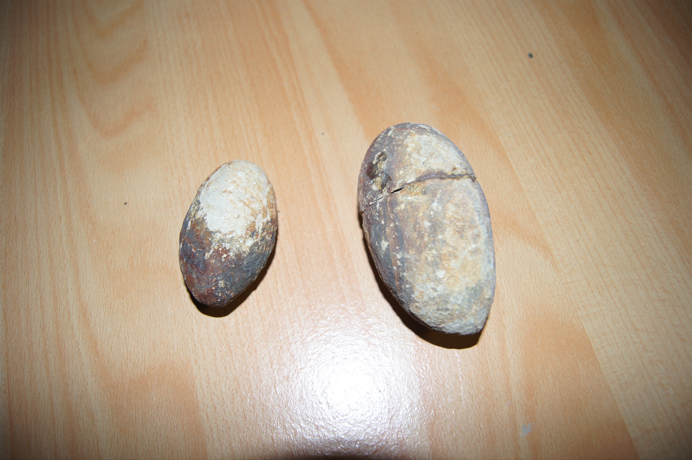 identif02.jpg